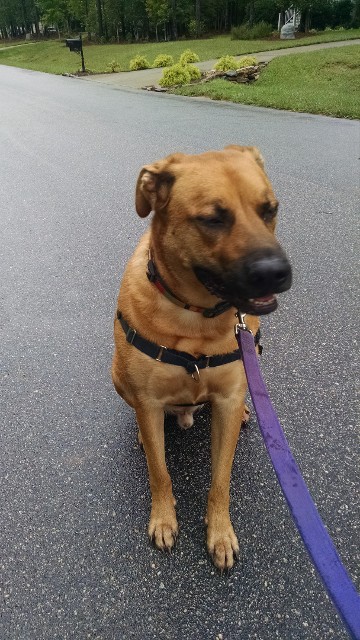 Kim M testimonial pic